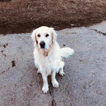 דירה Bergbauernhof *