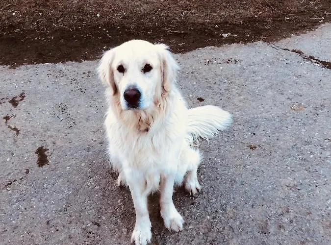 דירה Bergbauernhof *